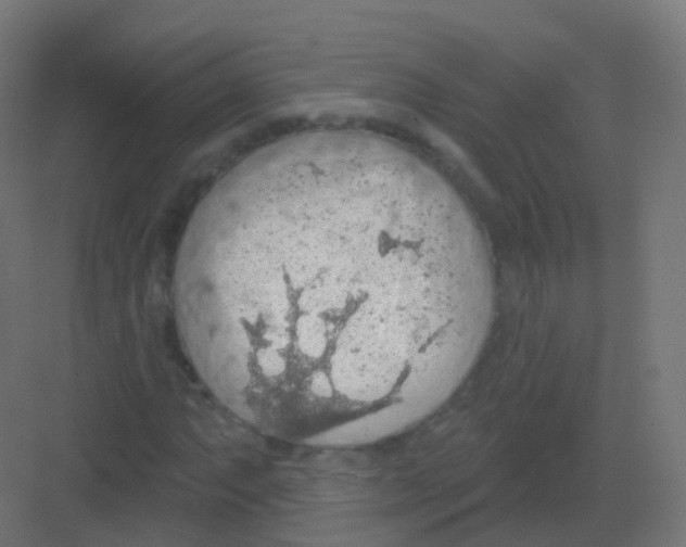 X0000081321063200702082130