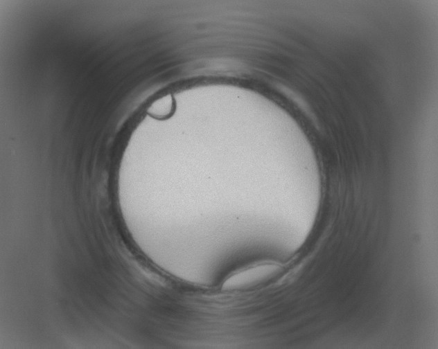 X0000081321066200702082130