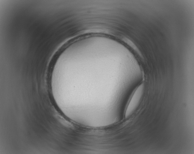 X0000081321068200702082130