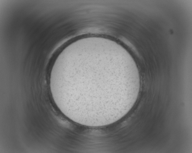 X0000081321070200702082130