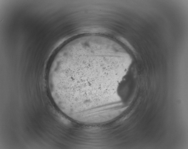 X0000081321071200702082130