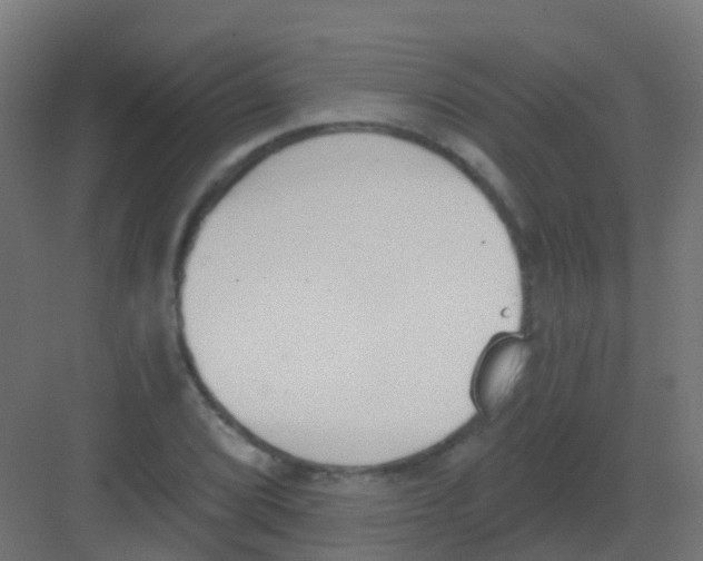 X0000081321072200702082130