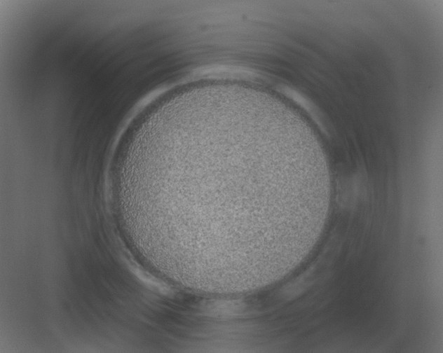 X0000081321074200702082130