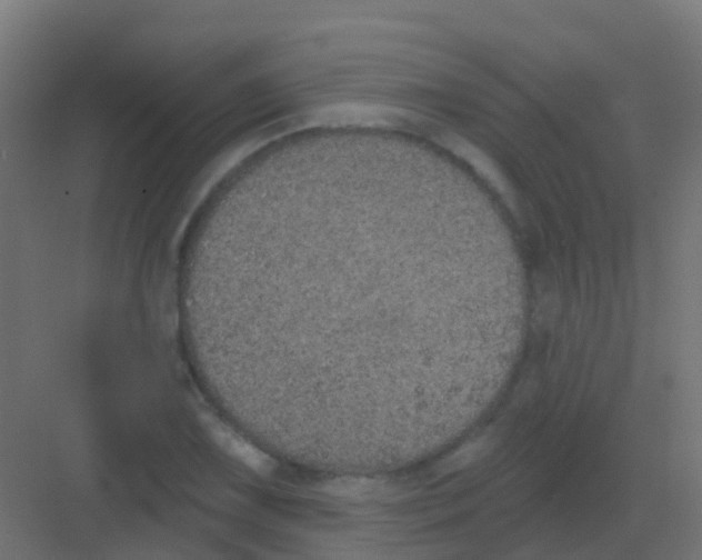 X0000081321075200702082130