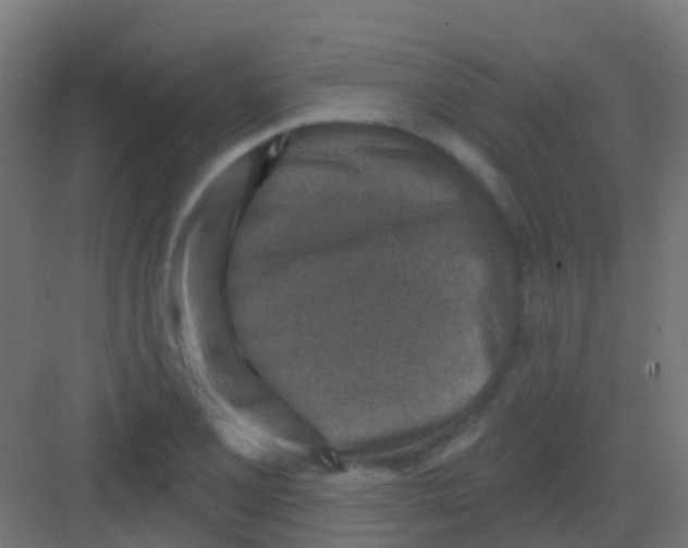 X0000081321077200702082130