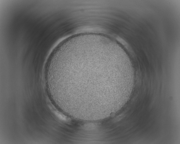 X0000081321078200702082130