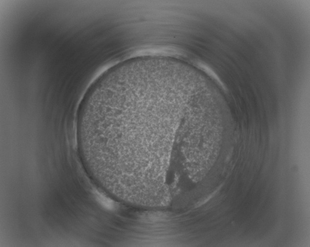 X0000081321079200702082130