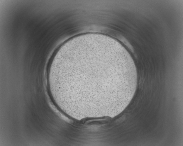 X0000081321080200702082130