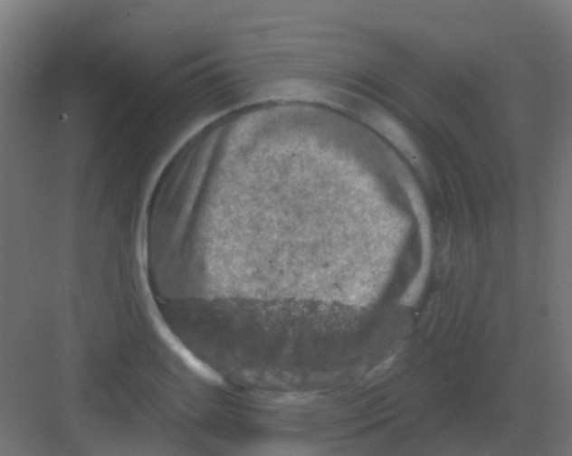 X0000081321084200702082130