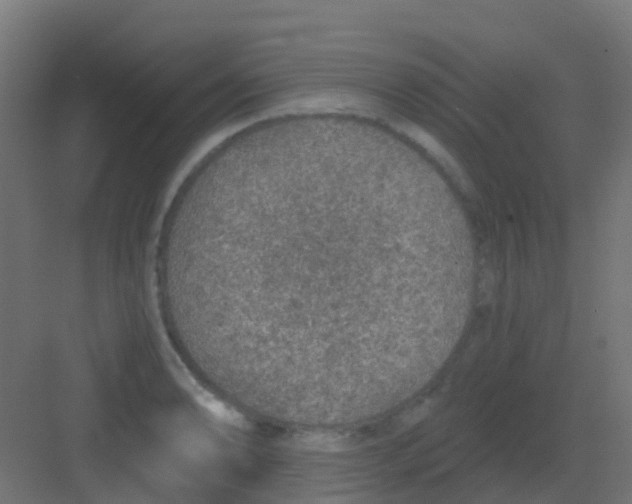 X0000081321086200702082130