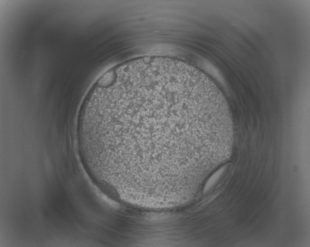 X0000081321087200702082130