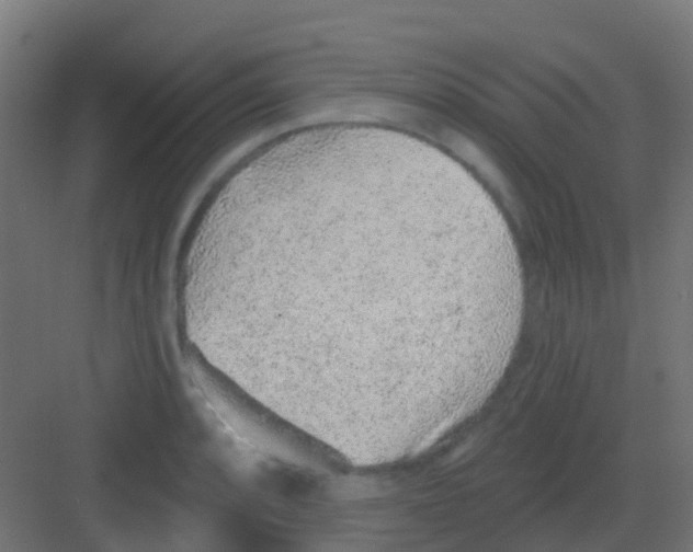 X0000081321088200702082130