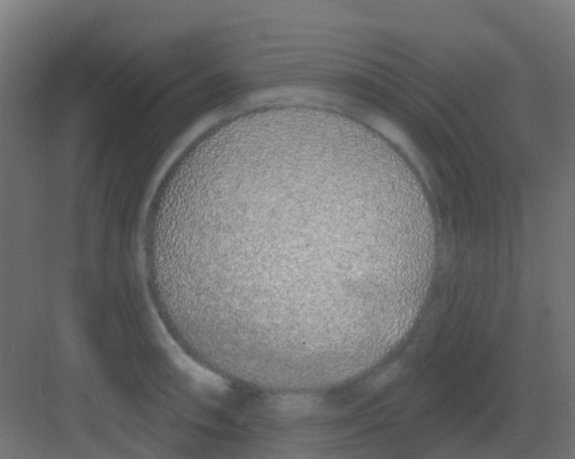 X0000081321090200702082130