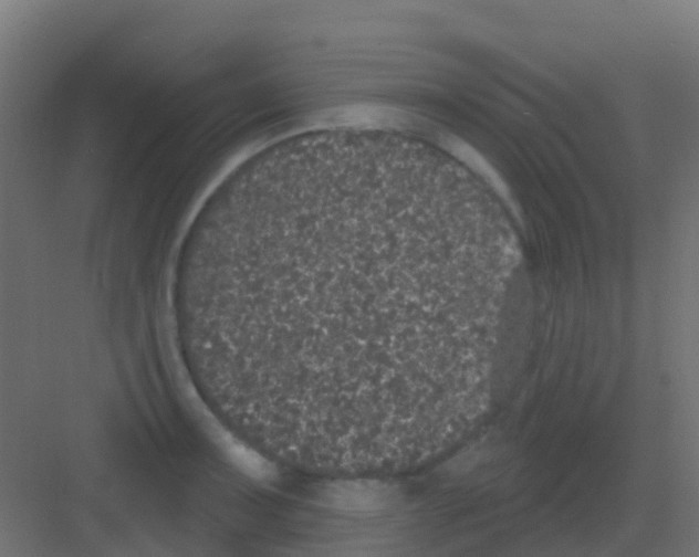 X0000081321091200702082130