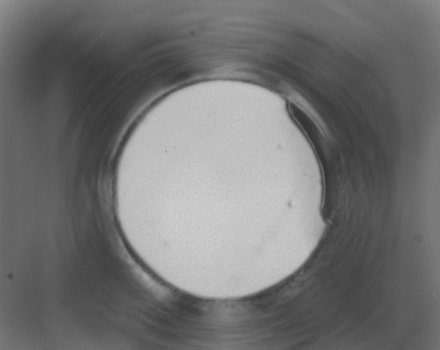 X0000081321092200702082130