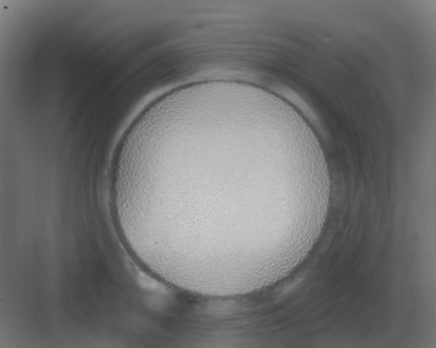 X0000081321094200702082130