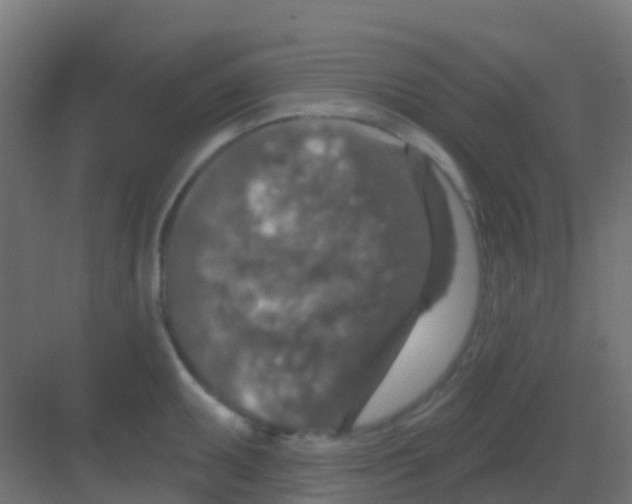 X0000081321095200702082130