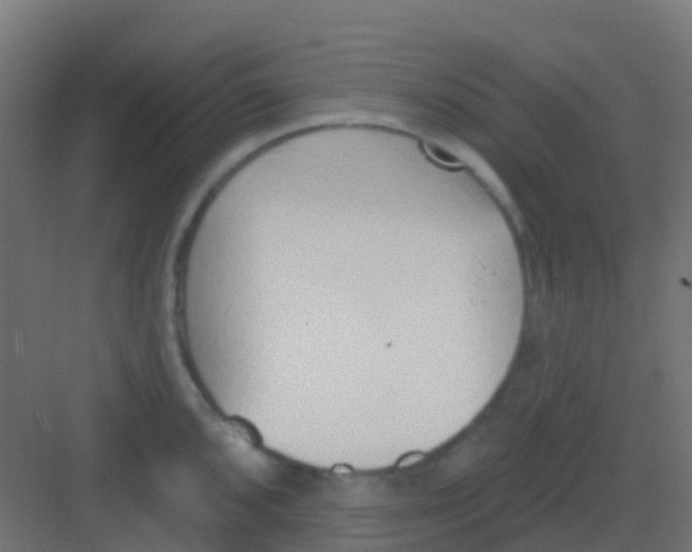 X0000081321096200702082130