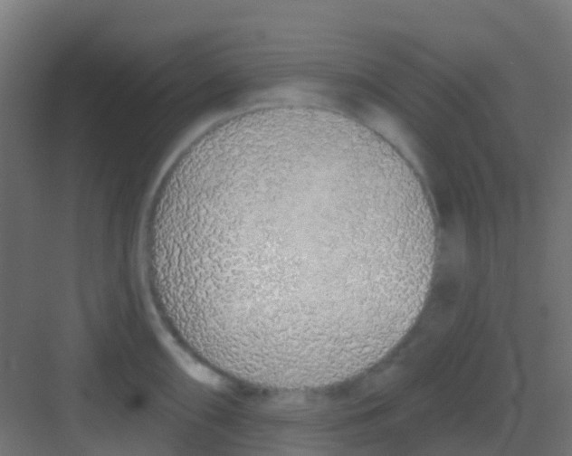 X0000081321098200702082130