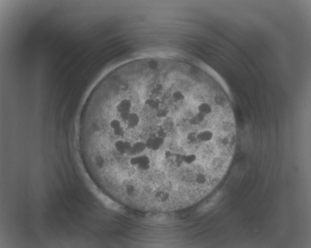 X0000081321099200702082130