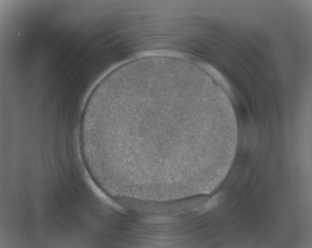 X0000081321100200702082130