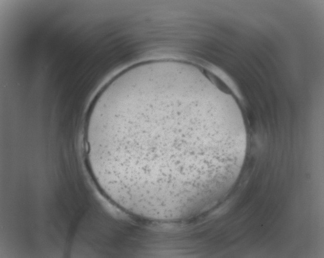 X0000081321101200702082130