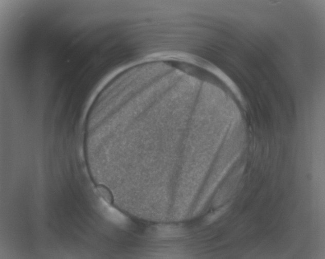 X0000081321102200702082129