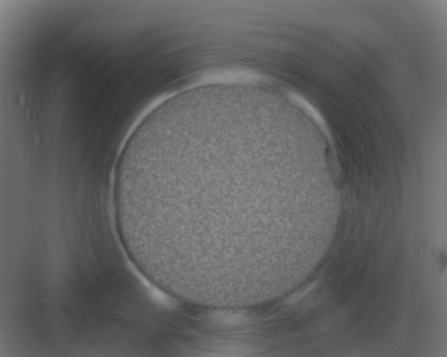 X0000081321103200702082129