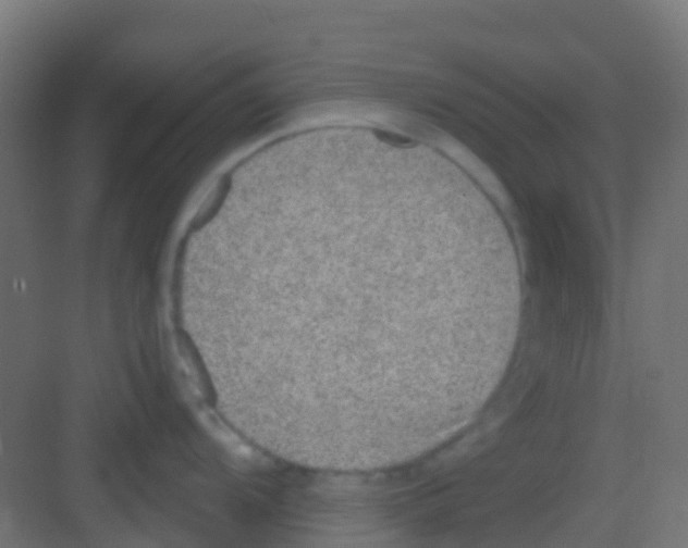 X0000081321104200702082129