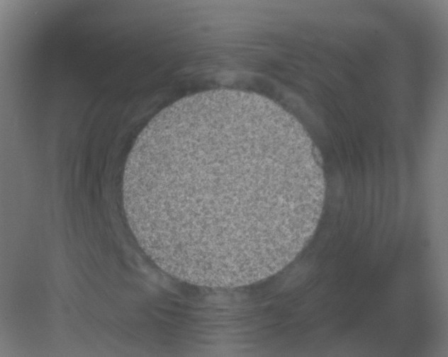 X0000081321105200702082129