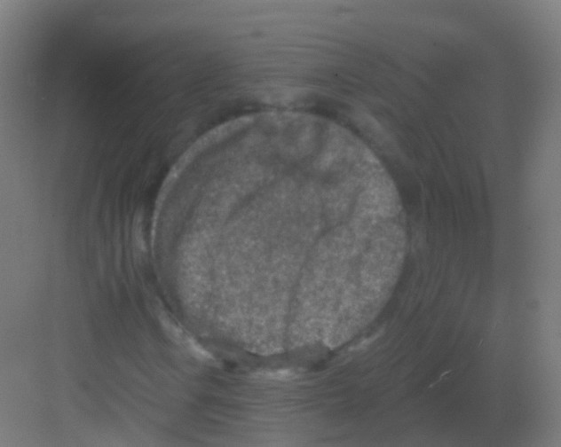 X0000081321106200702082129