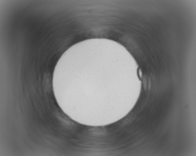 X0000081321107200702082129