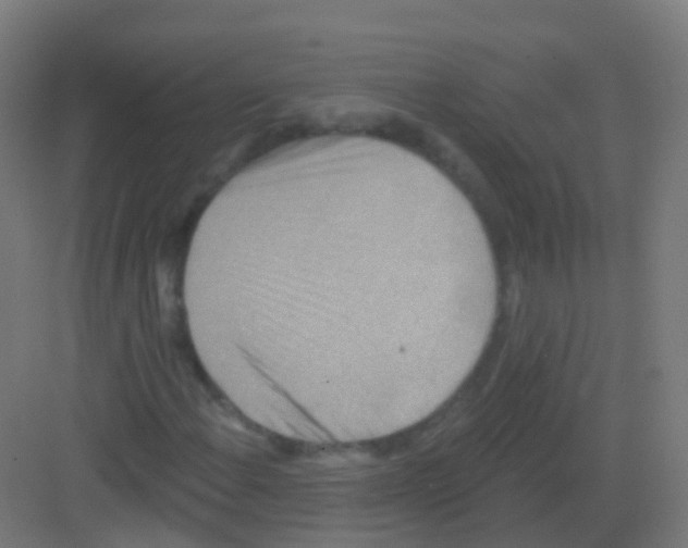 X0000081321108200702082129