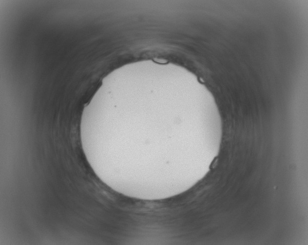 X0000081321109200702082129