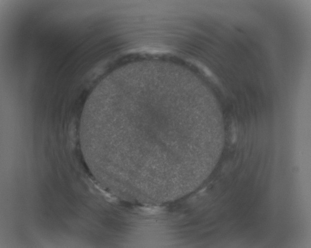 X0000081321110200702082129