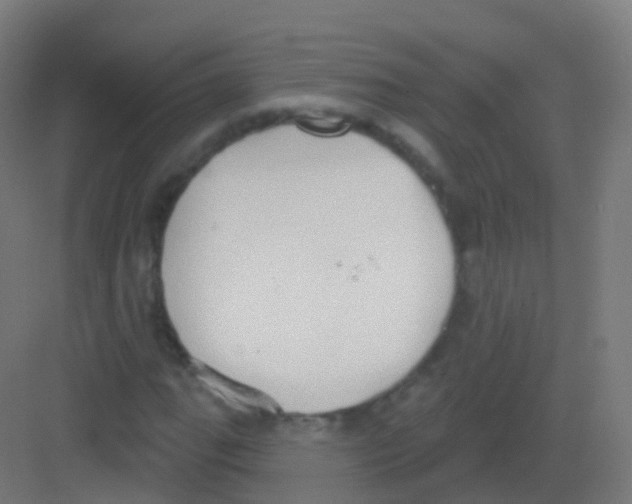 X0000081321111200702082129