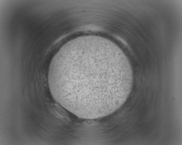 X0000081321112200702082129