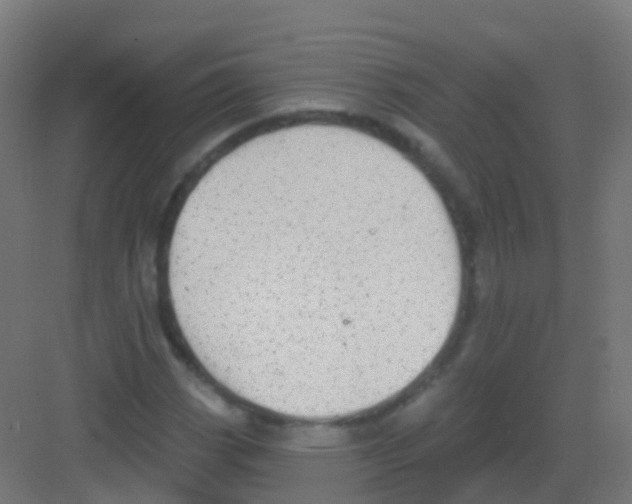 X0000081321113200702082129