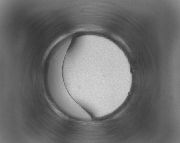 X0000081321114200702082129