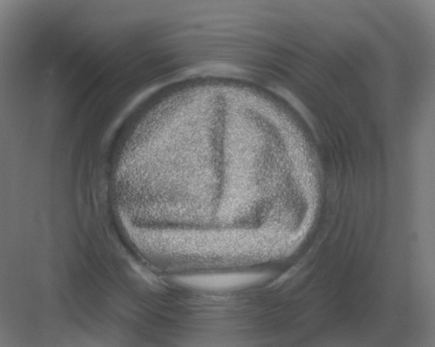 X0000081321115200702082129