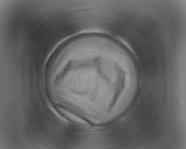 X0000081321116200702082129