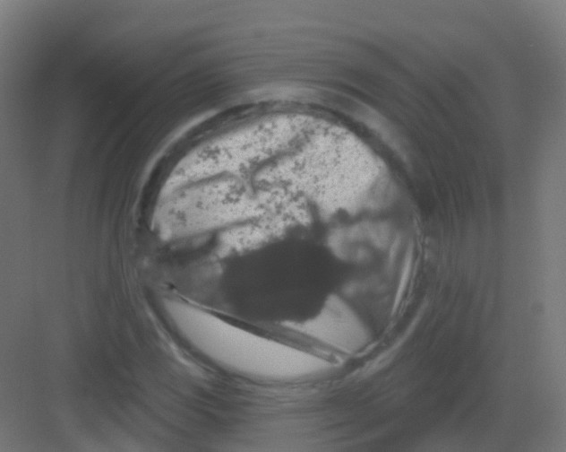 X0000081321117200702082129