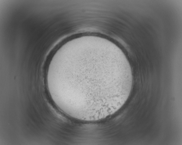 X0000081321118200702082129