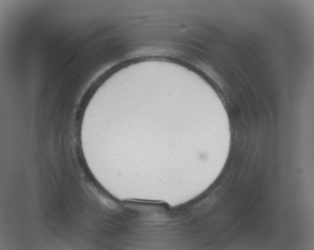 X0000081321119200702082129