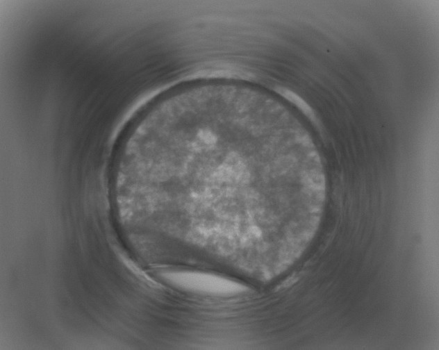 X0000081321120200702082129