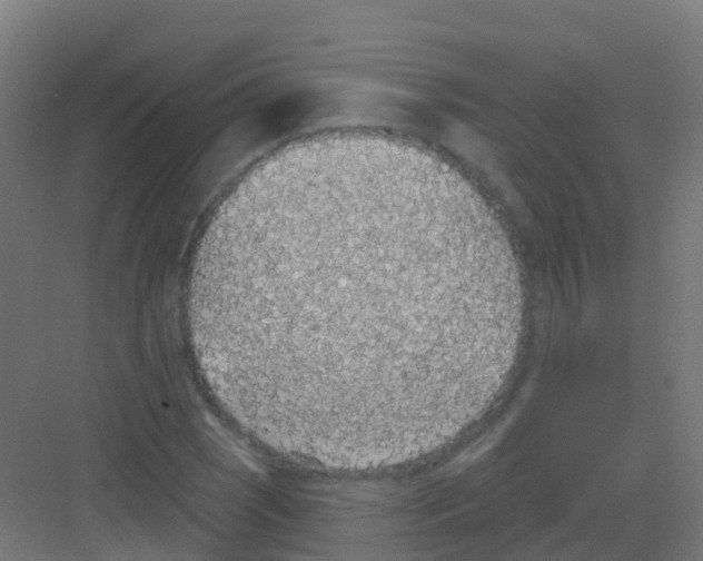 X0000081321121200702082129