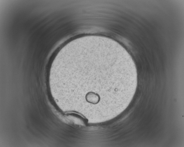 X0000081321122200702082129