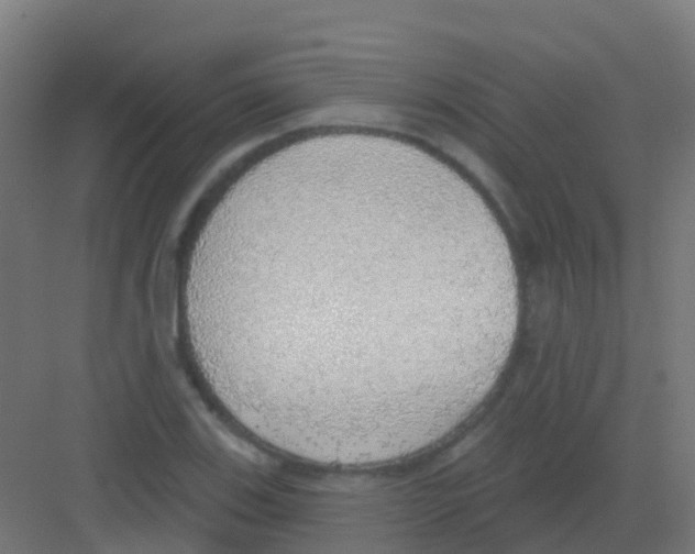 X0000081321123200702082129