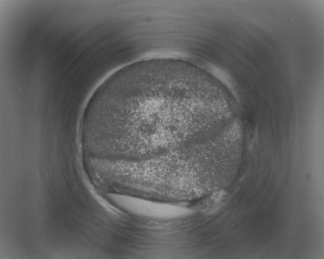 X0000081321124200702082129