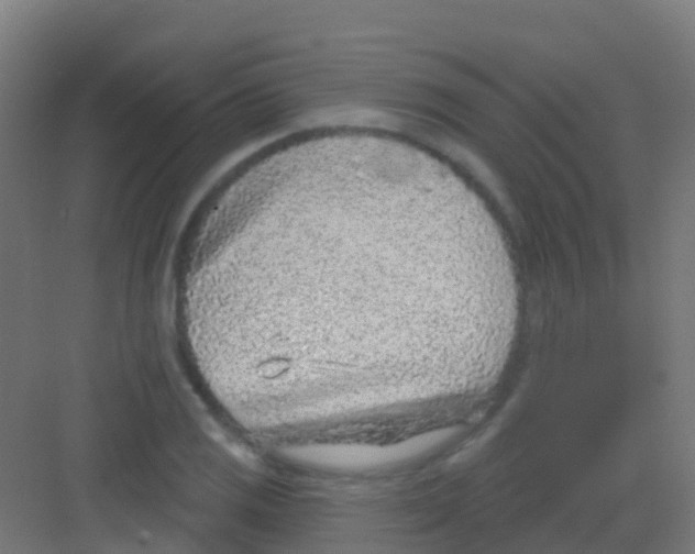 X0000081321125200702082129